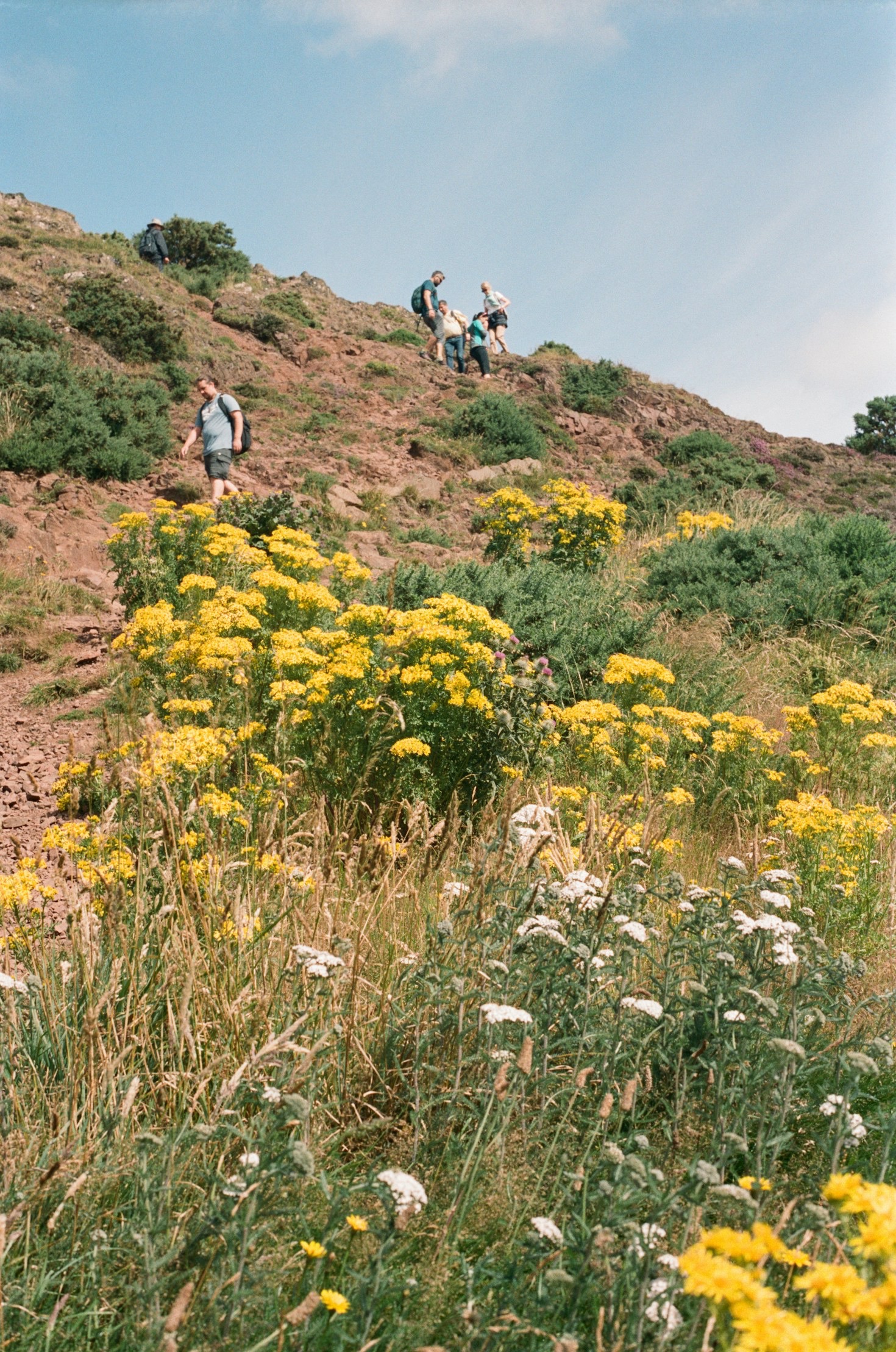 Wie du die richtige Trekkingausrüstung auswählst: Ein umfassender Leitfaden